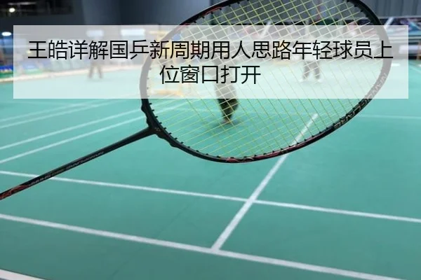 王皓详解国乒新周期用人思路年轻球员上位窗口打开